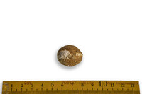 F 13018
<br/>
<br/>
<em></em>